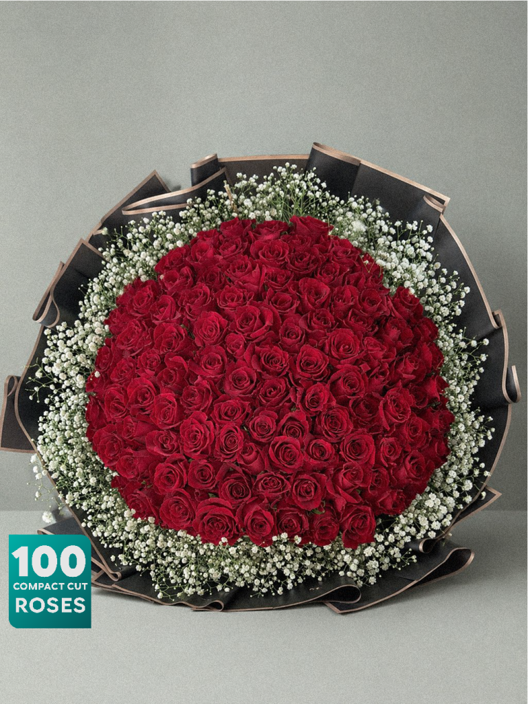Crimson Eclipse 100