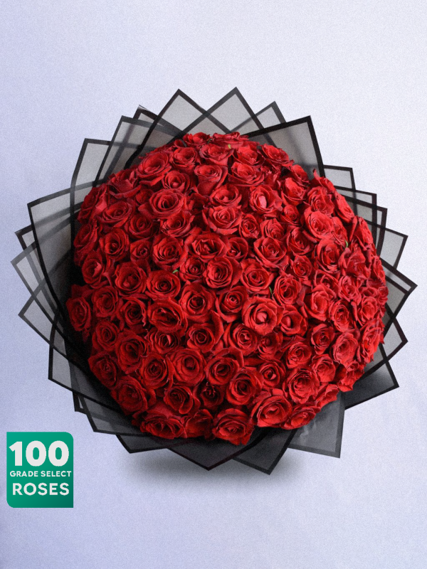 Royal Blush 100 - Image 1