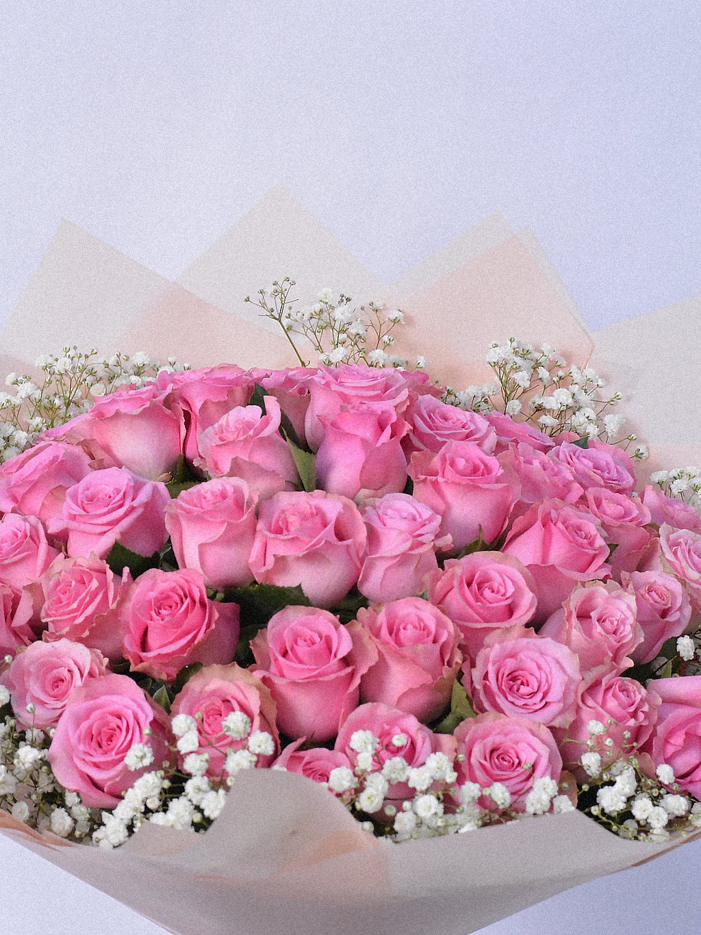 Rosé Cloud Deluxe - Image 3