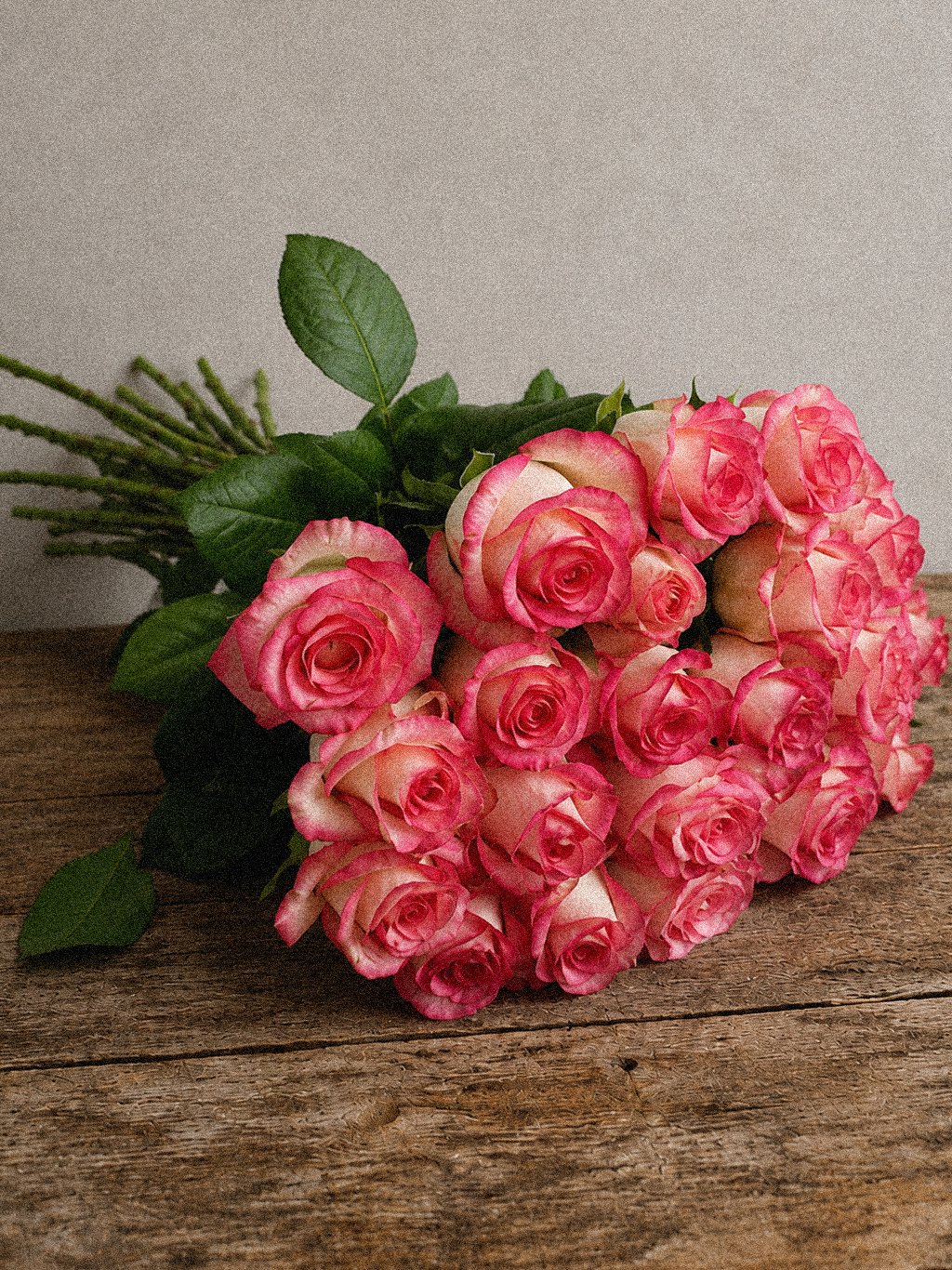 Cerise Edge Roses - Image 3