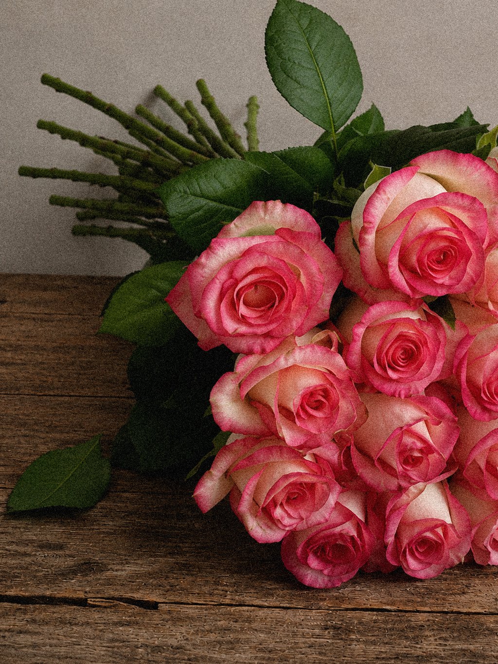Cerise Edge Roses - Image 4