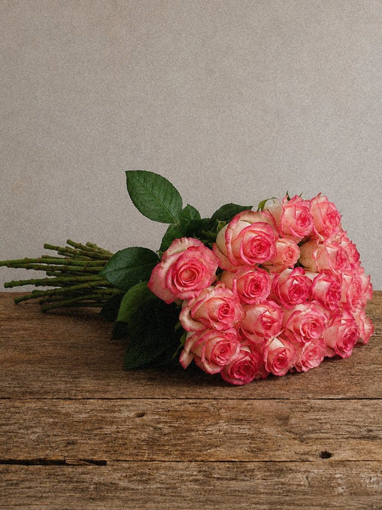 Cerise Edge Roses