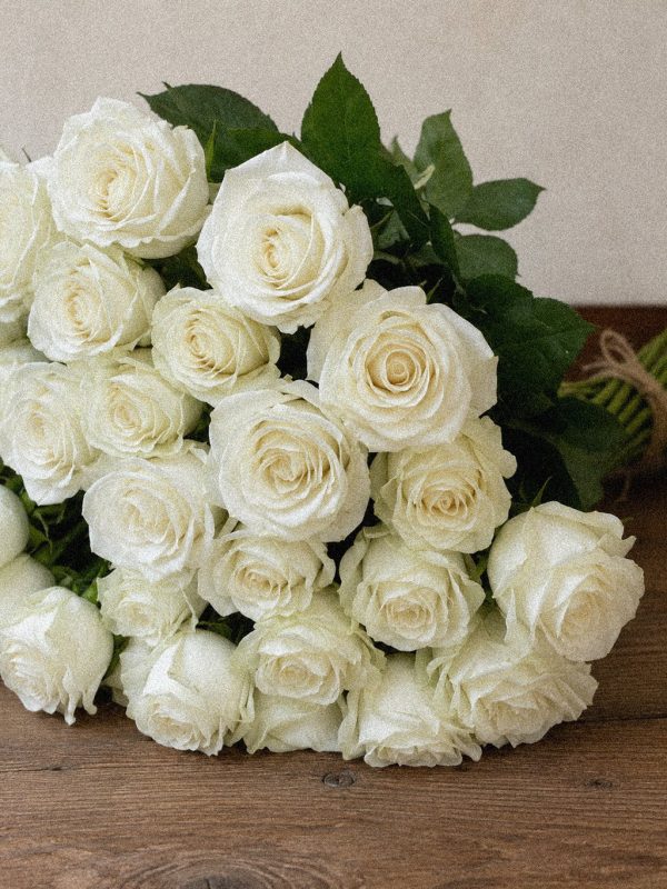 Ivory Rose Foliage - Image 2
