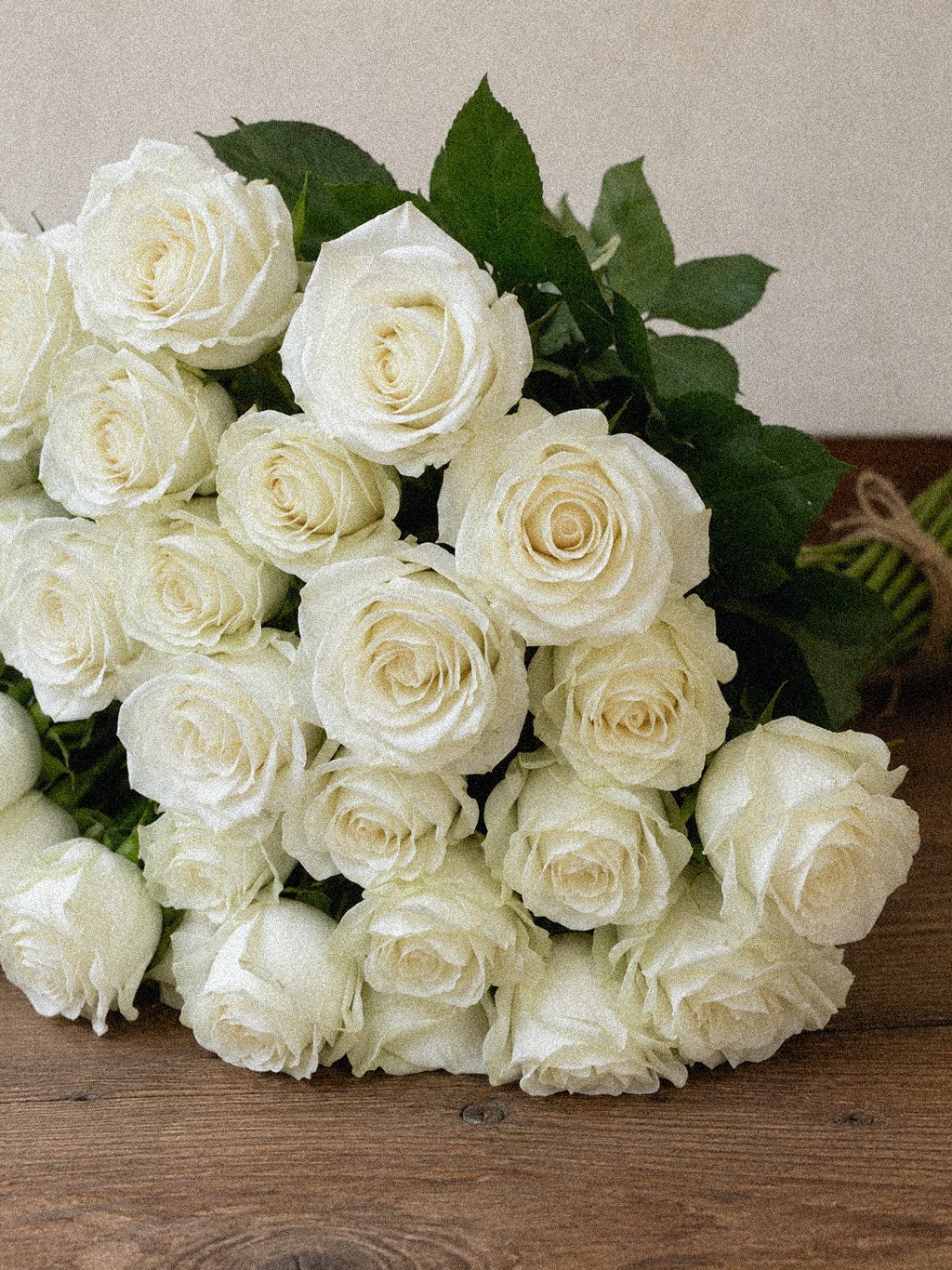 Ivory Rose Foliage - Image 2