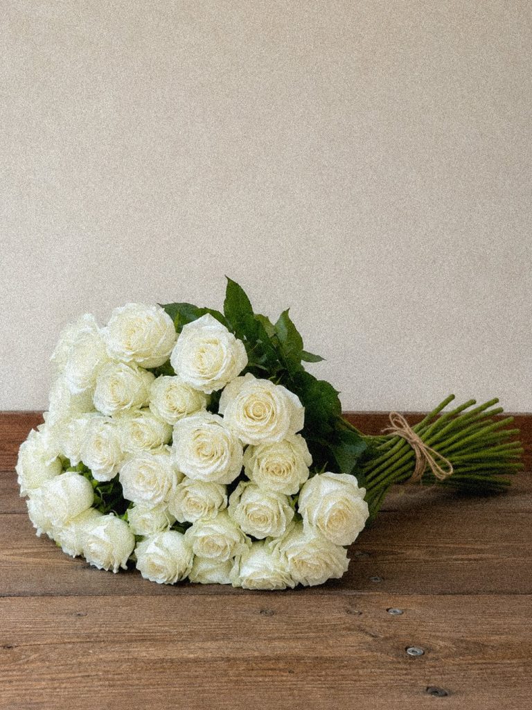 Ivory Rose Foliage