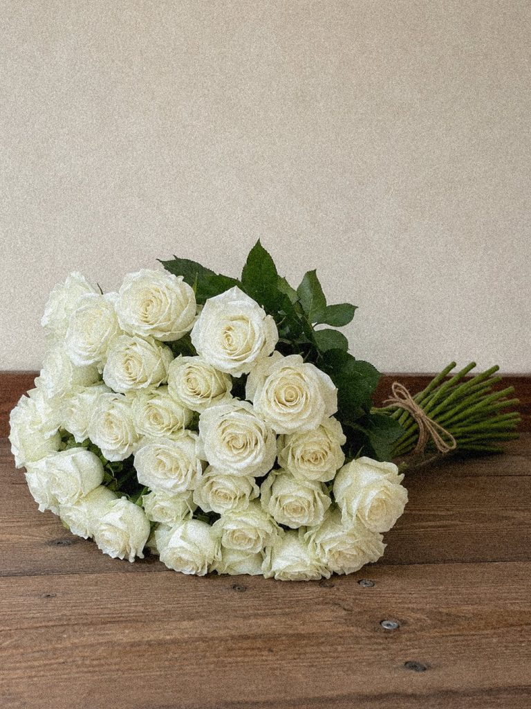 Ivory Rose Foliage