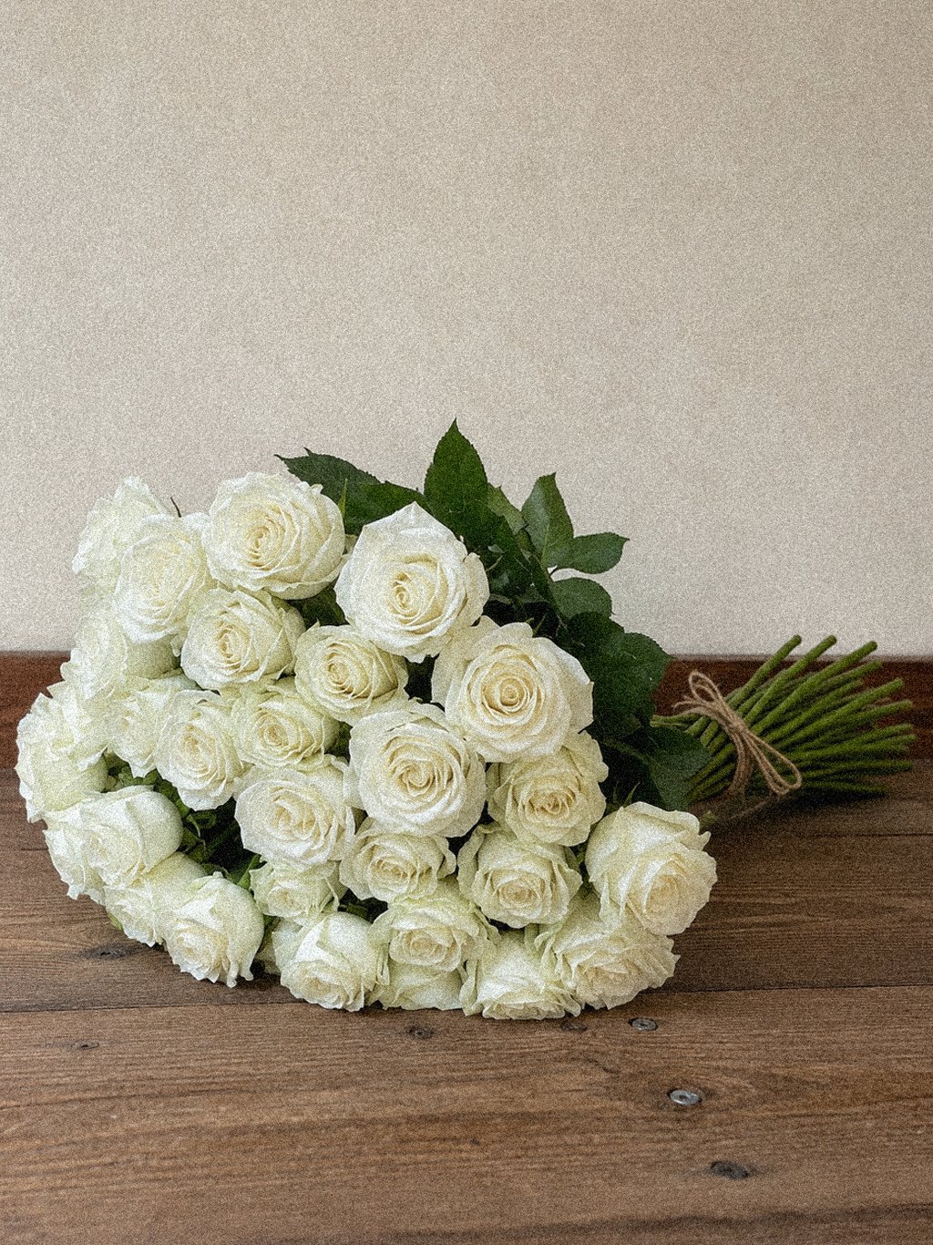 Ivory Rose Foliage - Image 4