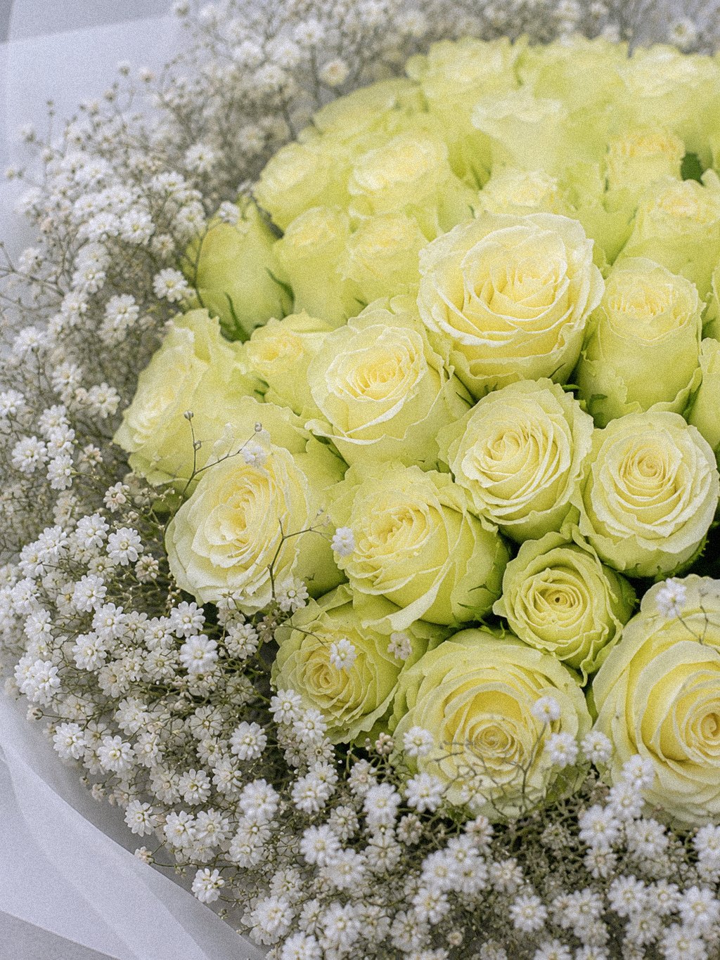 Ivory Lace Grandeur - Image 3