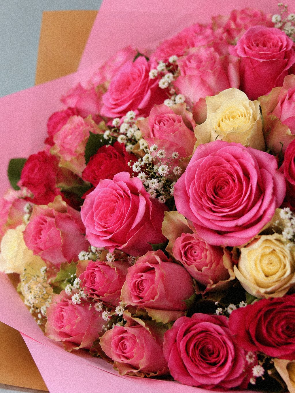 Tricolour Rose Reserve - Image 4