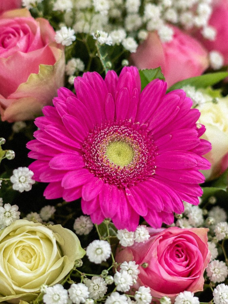 Pink Gerbera Ensemble