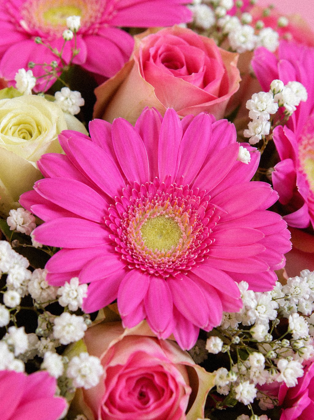 Pink Gerbera Ensemble - Image 3