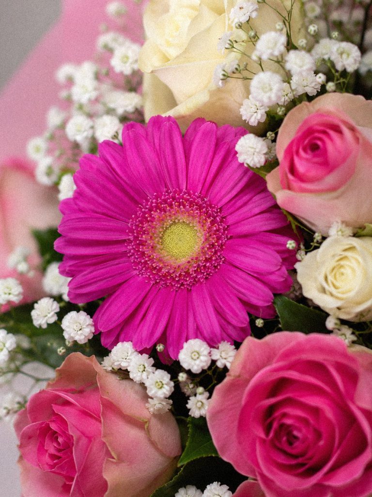 Pink Gerbera Ensemble