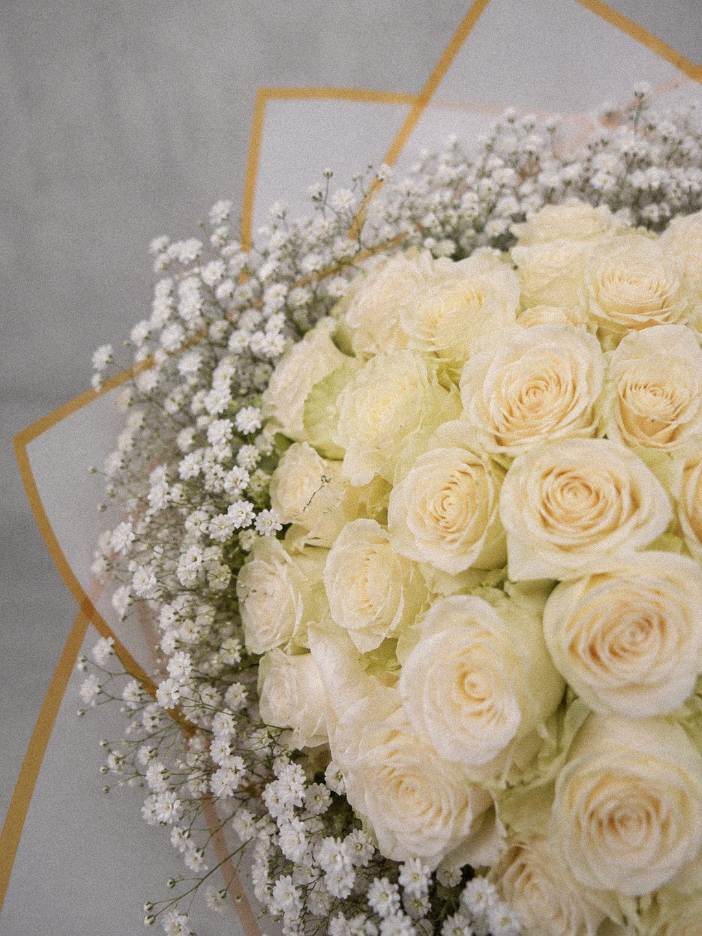 Ivory Gold Grandeur - Image 3