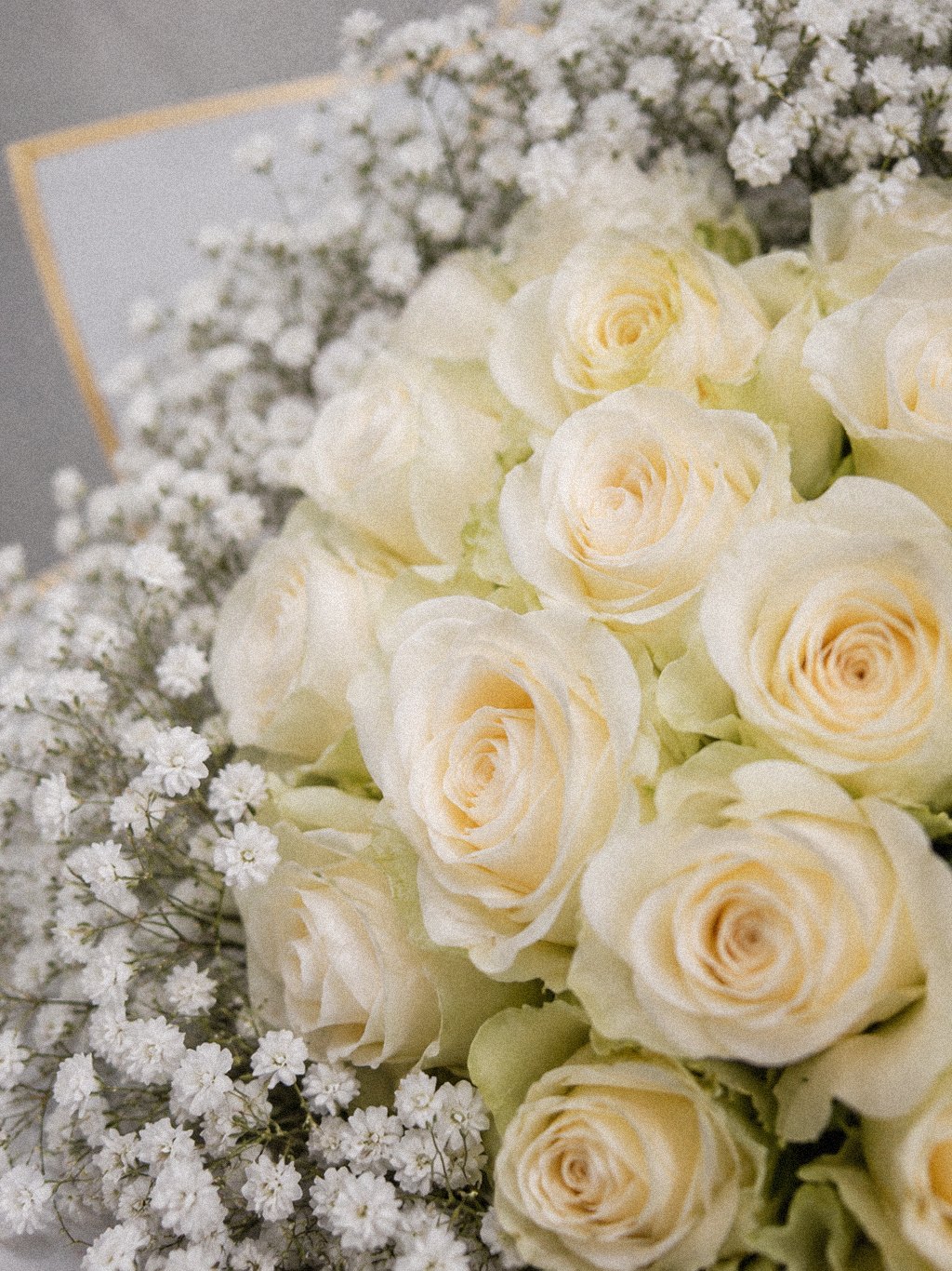 Ivory Gold Grandeur - Image 2