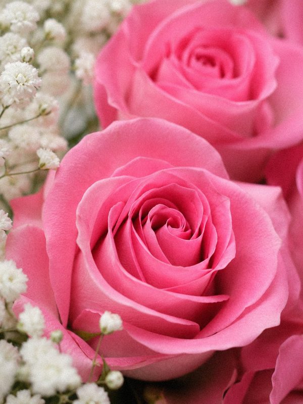 Pink Gold Classic - Image 4