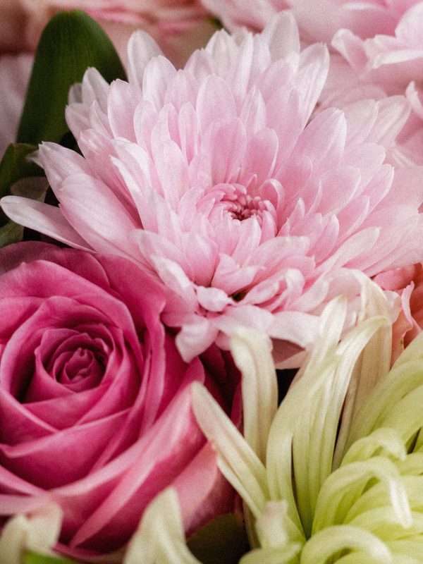 Pastel Floral Poise - Image 3