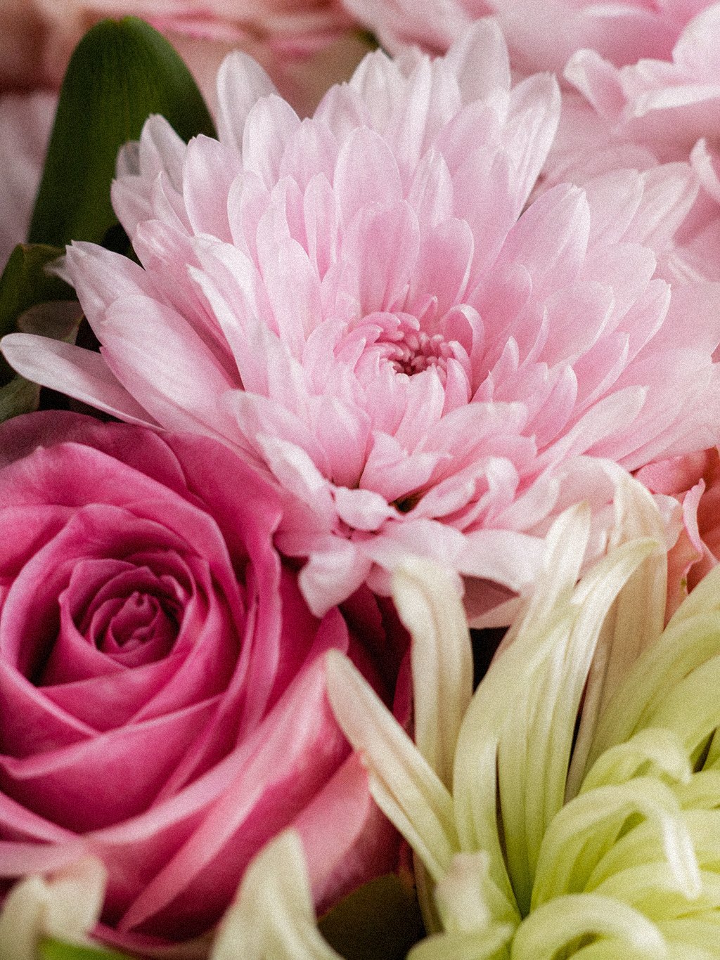 Pastel Floral Poise - Image 3