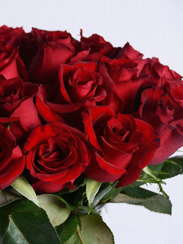Scarlet Column Vase - Image 3