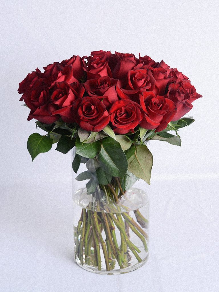 Scarlet Column Vase