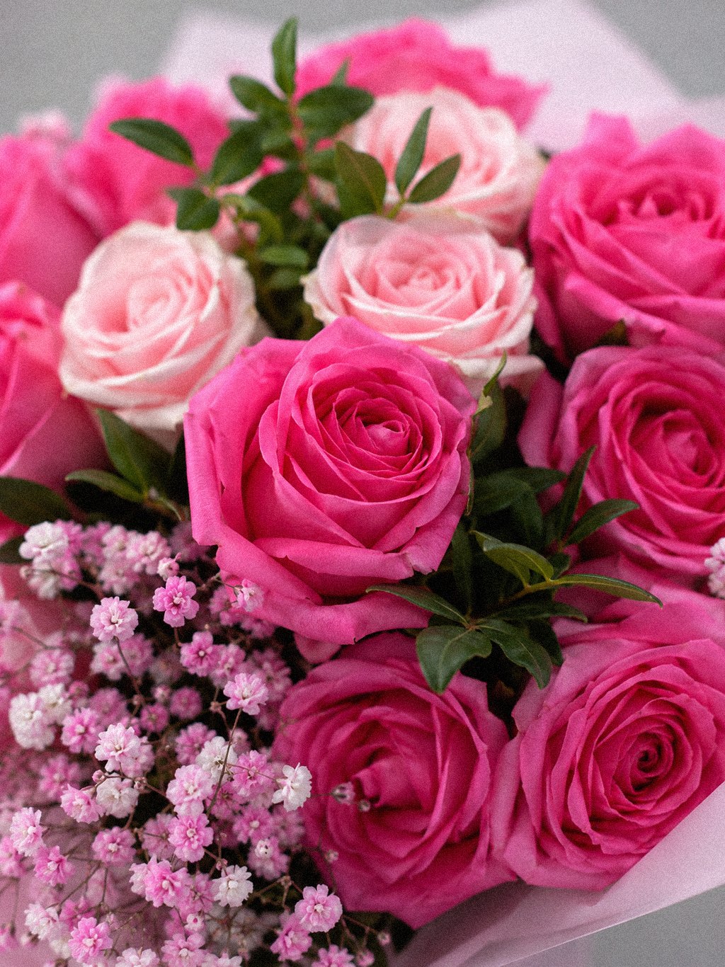 Fuchsia Pink Petite - Image 3