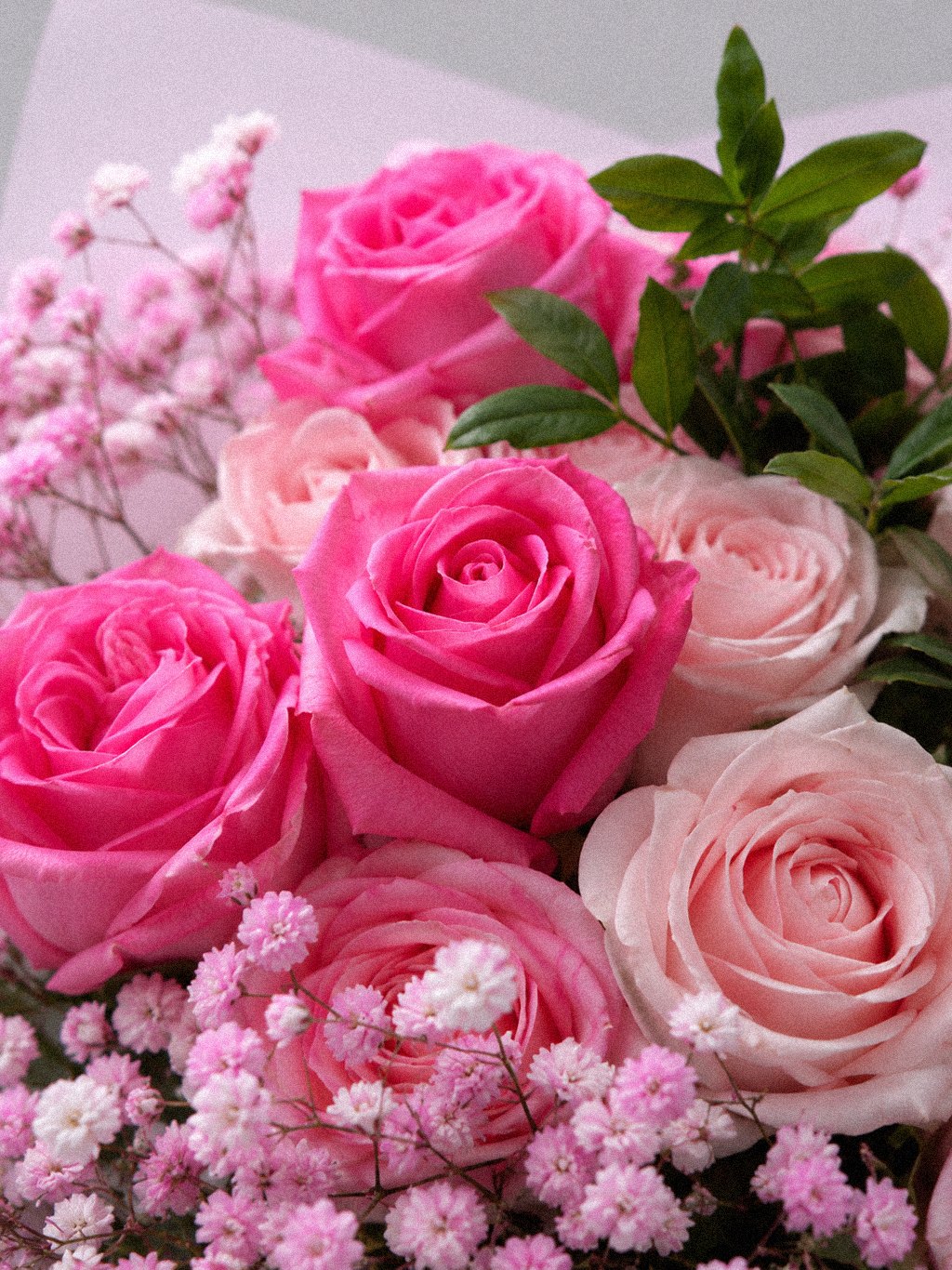 Fuchsia Pink Petite - Image 2