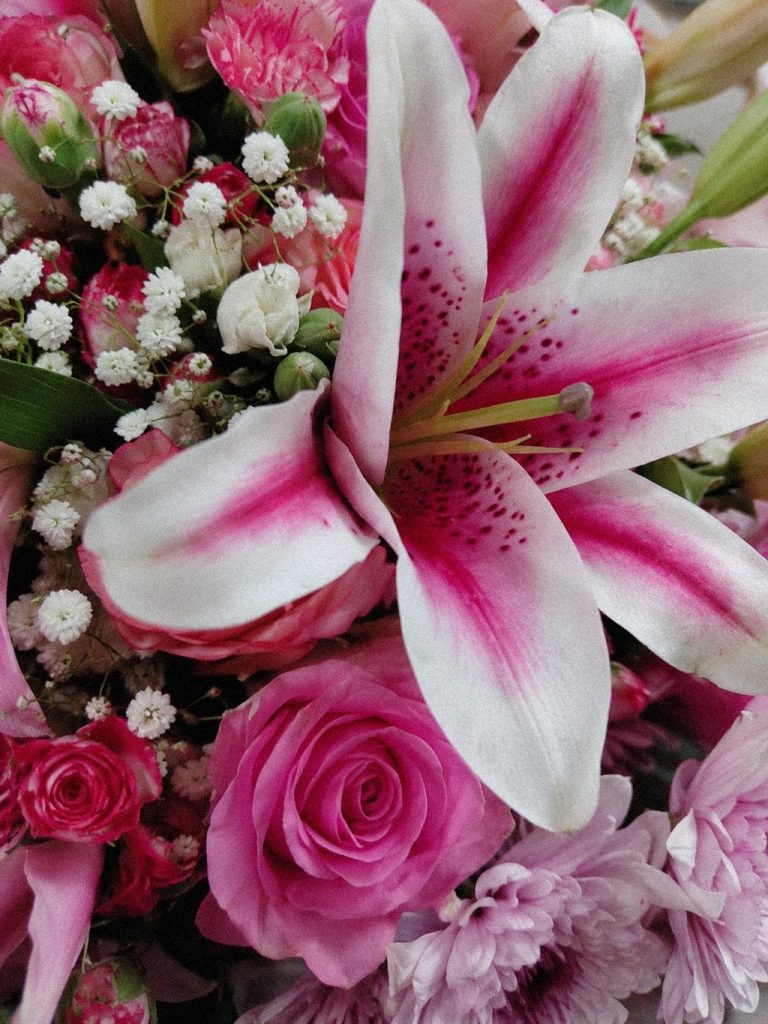 Pink Lily Ensemble