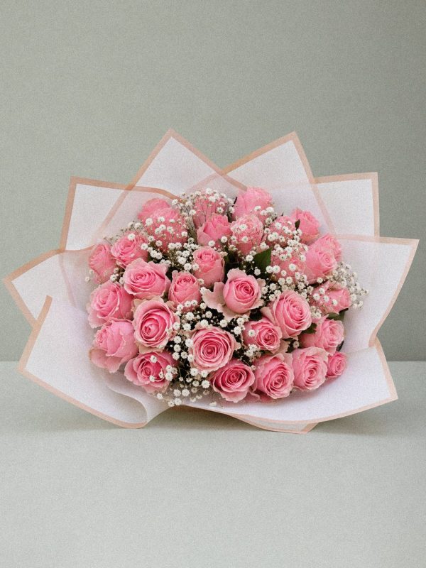 Soft Pink Serenade - Image 1