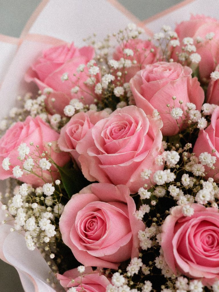 Soft Pink Serenade