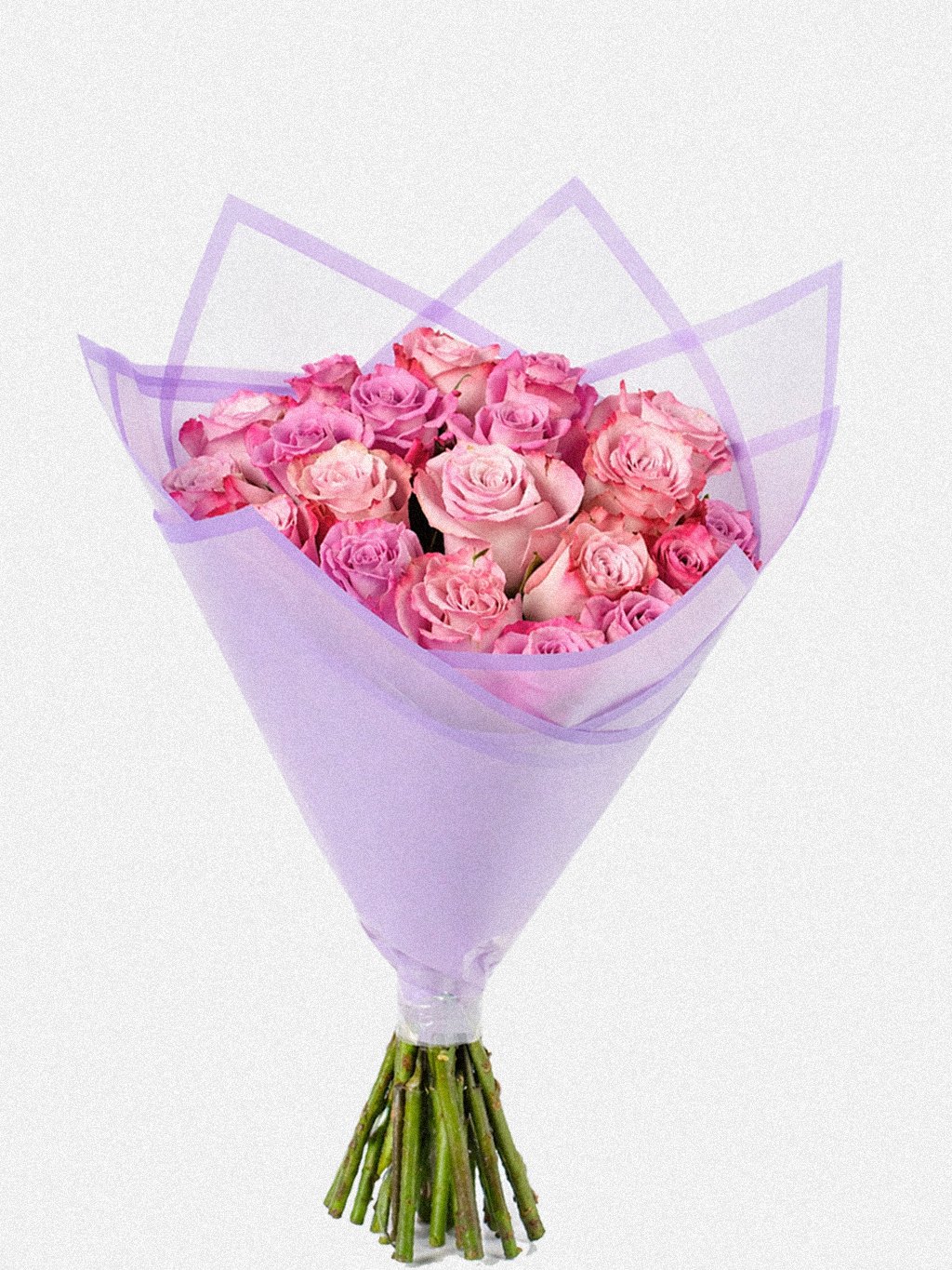 Lilac Pink Hand-Tied - Image 1