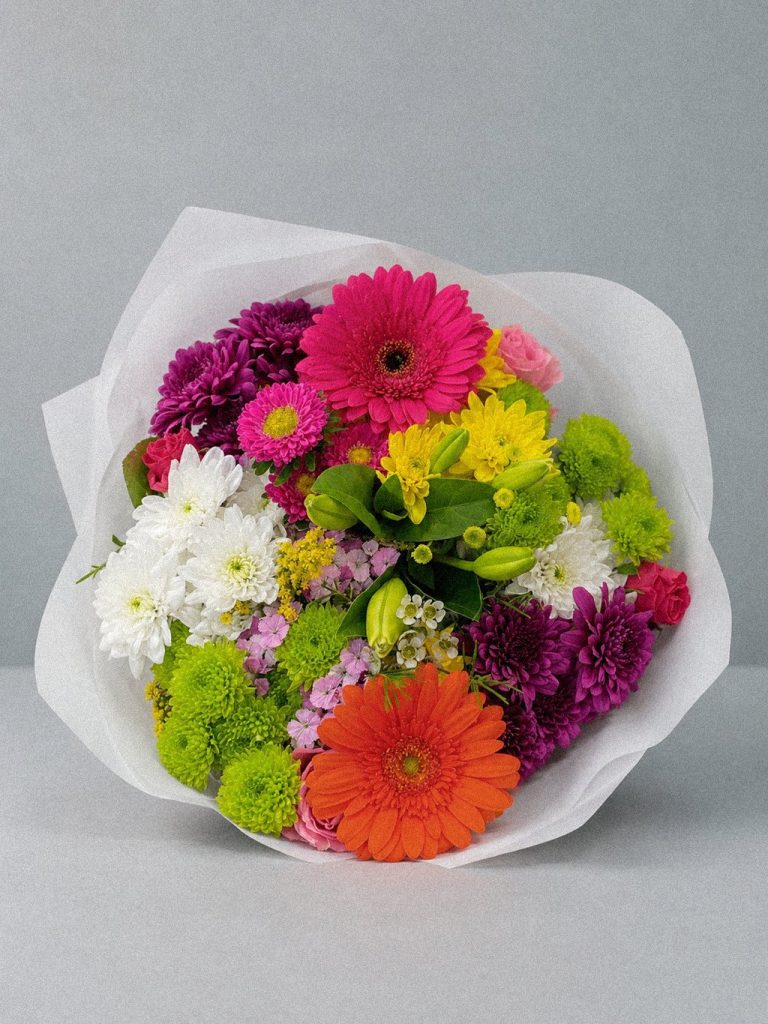 Gerbera Colour Parade