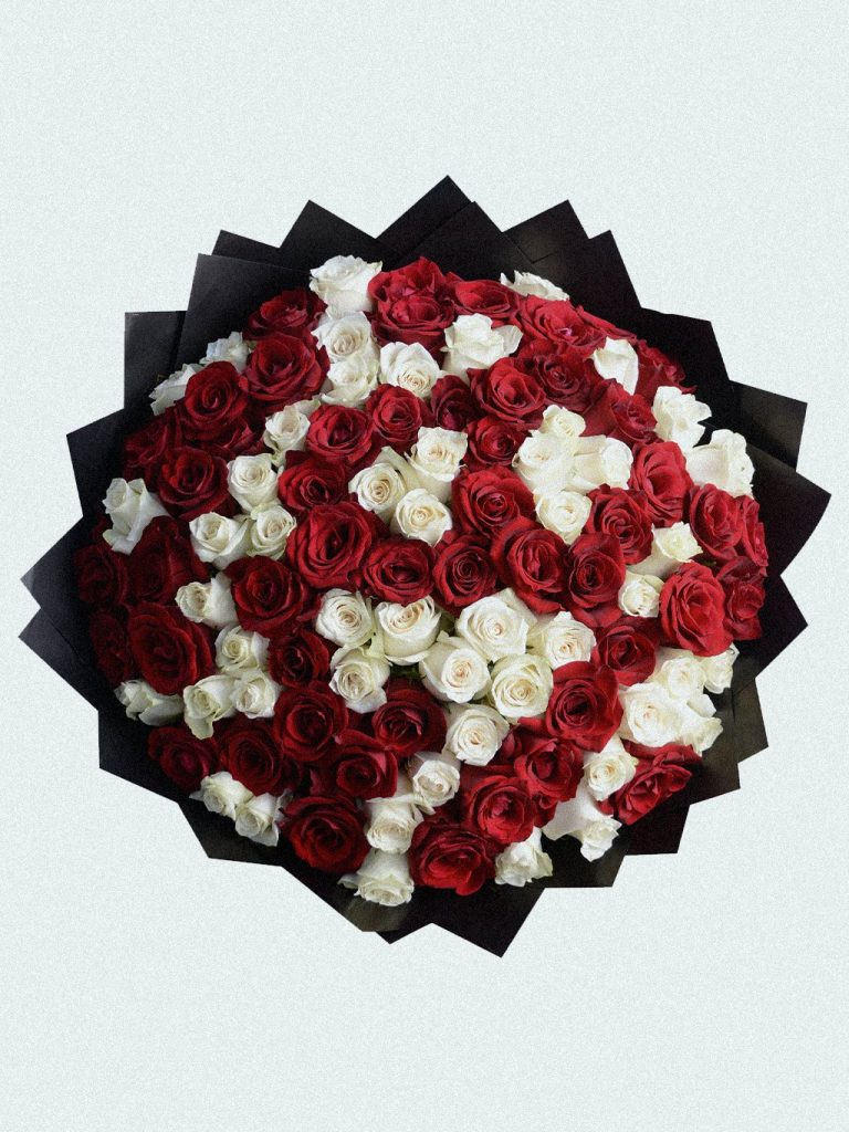 Ruby Ivory 100