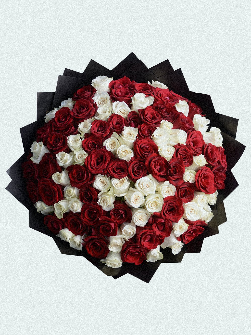Ruby Ivory 100 - Image 1
