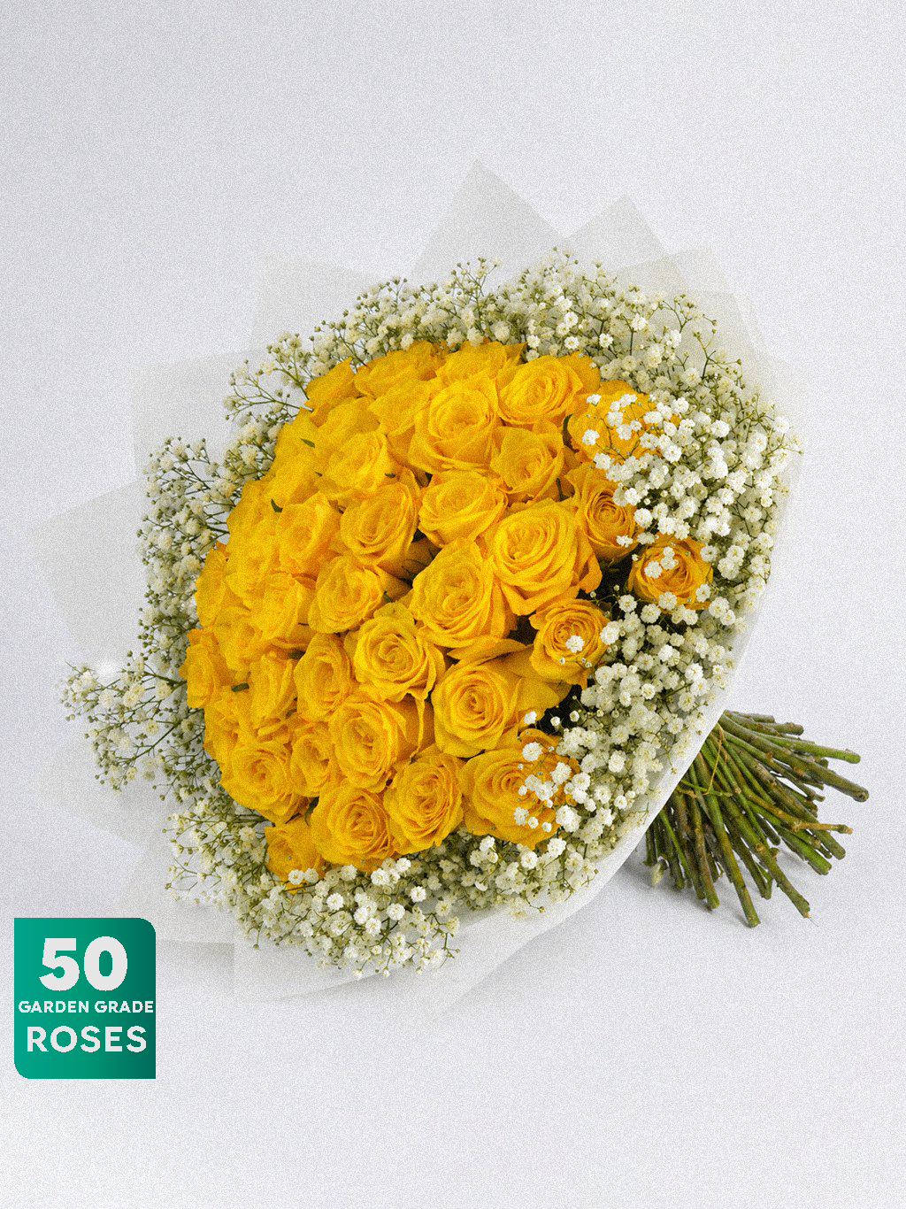 Golden Halo Roses - Image 1