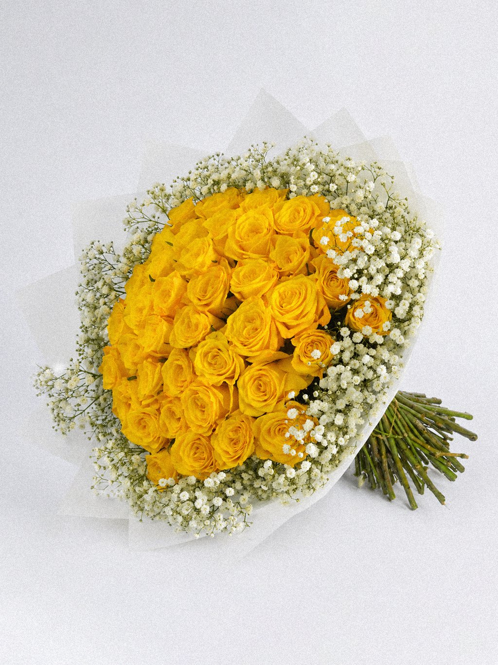 Golden Halo Roses - Image 2