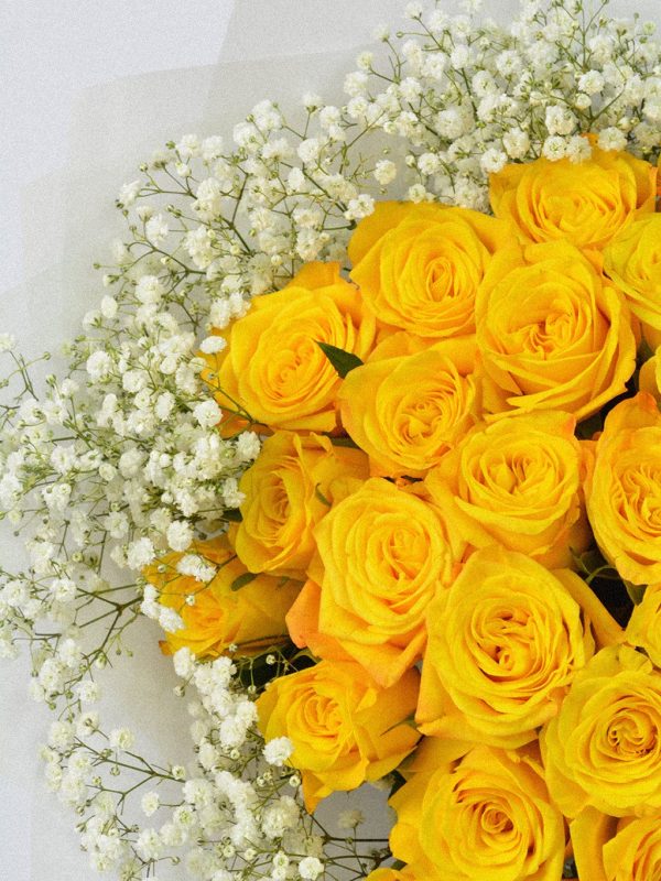 Golden Halo Roses - Image 4