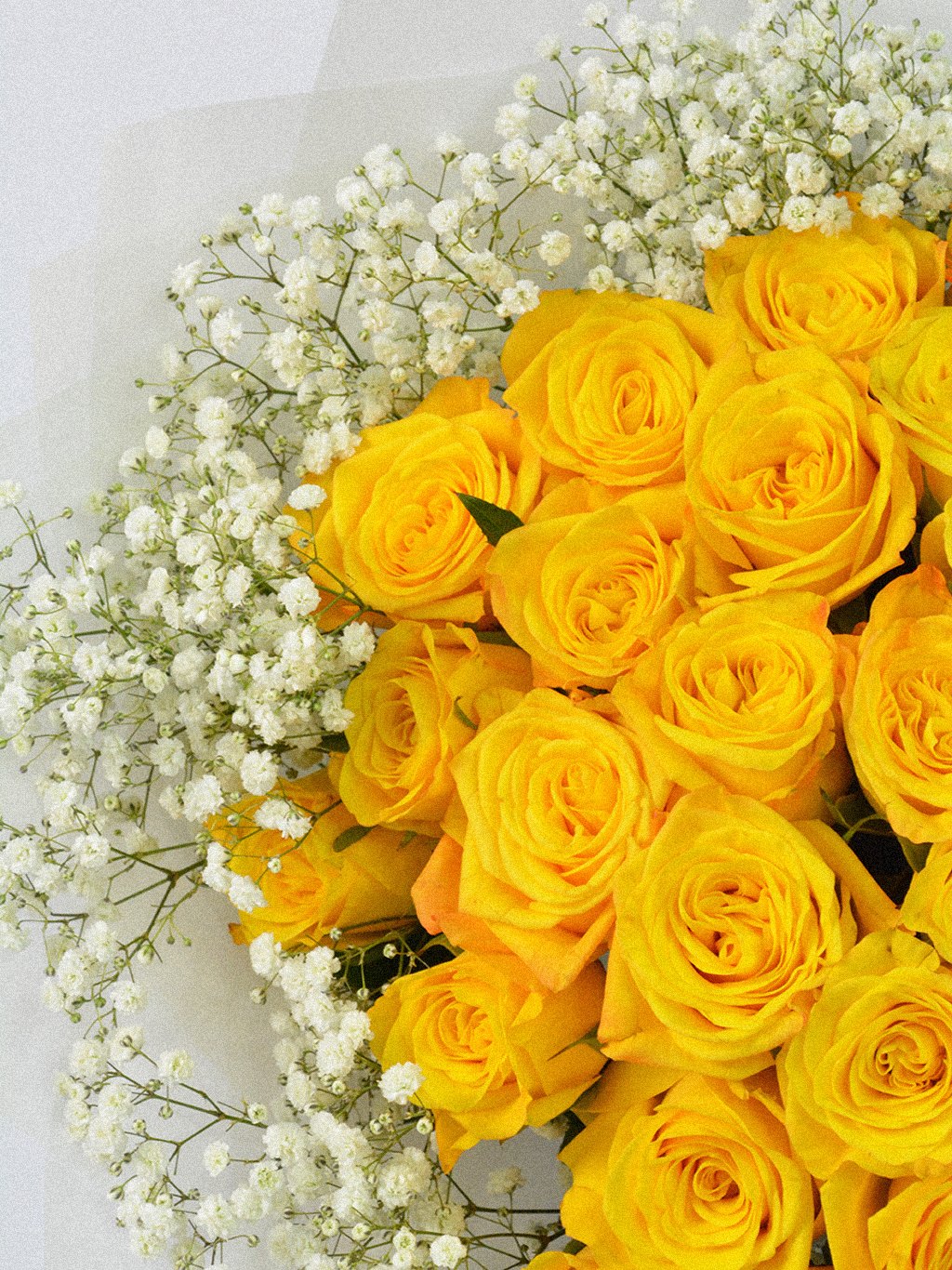 Golden Halo Roses - Image 4