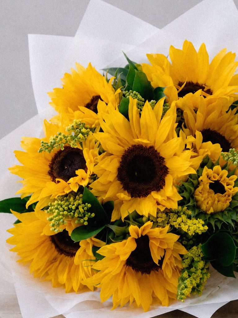 Sunlit Harvest